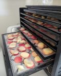 Food Dehydrator